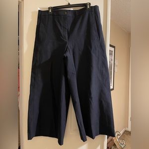 Ann Taylor Navy Pant 12